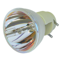 INFOCUS SP-LAMP-053 Λάμπα χωρίς την βάση