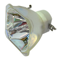 PROMETHEAN PRM30-LAMP Λάμπα χωρίς την βάση